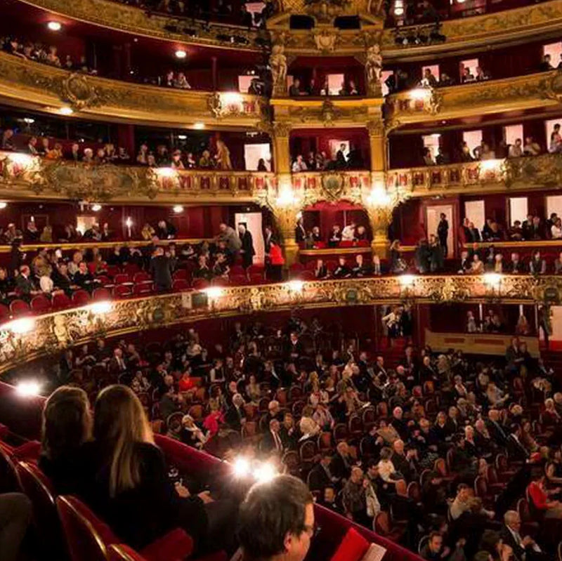 Audience in an ornate theater, enjoying a performance, showcasing the vibrant atmosphere of culture.
