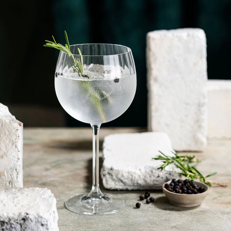 Bota & Tonic in a wine glass with ice, rosemary garnish, and juniper berries on a table.